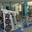 Franco D'Angleo - la palestra