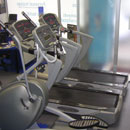 Franco D'Angleo - la palestra